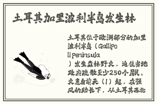 打扑克拔萝卜全程不盖被子